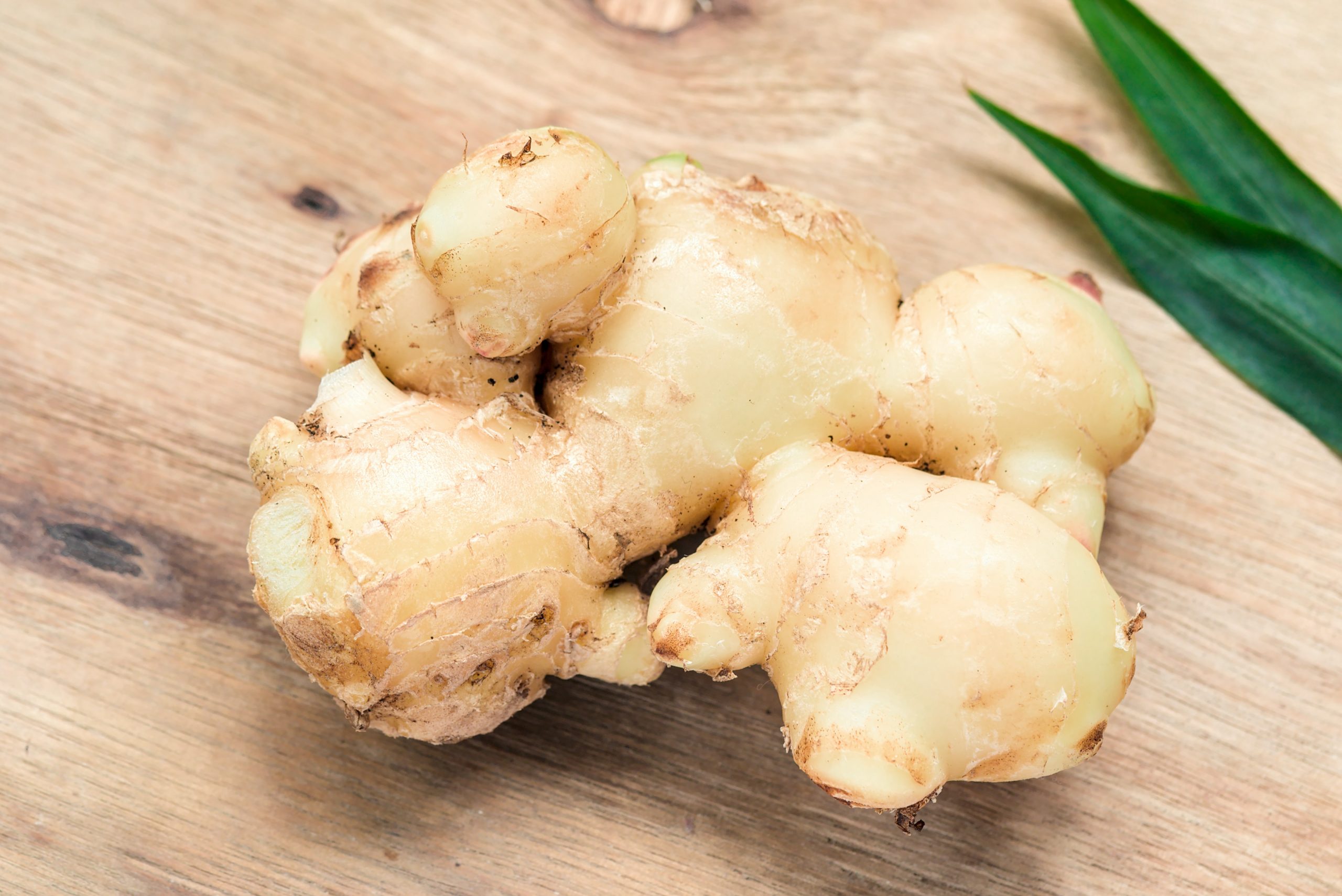 The Essential Ginger
